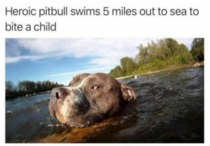 Wtf