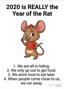  year of the rat for sure