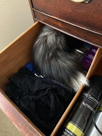  year old brother OP whats that fuzzy thing in your drawer
