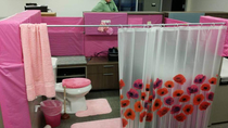  years ago today I came back from vacation to find my cubicle had been transformed into a bathroom