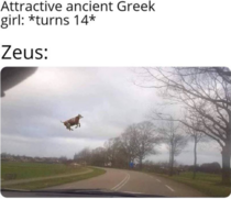 ZEUS