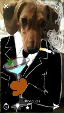 007 Dog