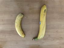 A big banana Banana for scale