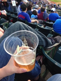 A bird shit in my friends beer at a Chicago Cubs game