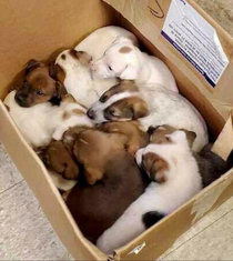 A box of Sub-Woofers Enjoy