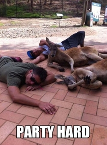 A bunch of mates wake up on Saturday morning