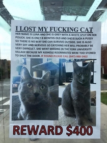 A Canadians missing cat poster