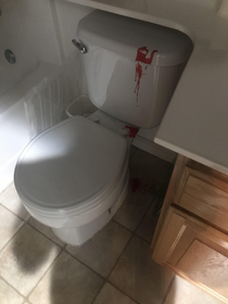 A candle spilt on my toilet and it looks like a murder happened when someone was trying to take a dump