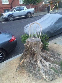 A chairy tree