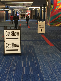A choose your life path at the Houston convention center