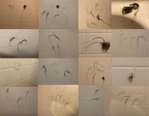 A collage of all the times my partner left her hair on the wall after a shower