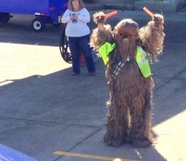 A familiar face was directing flights at Norfolk Airport today