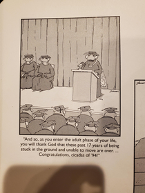 A Far Side bit for all the east coasters