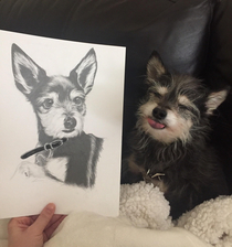A fellow Redditer made a beautiful drawing of my pup needless to say she captured him in a more regal light