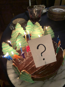 A forest fire gender-reveal birthday cake