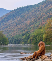 A friend of a friend sent me this pic of himself enjoying the fall colors