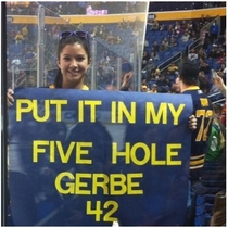 A friend of mine went to a buffalo hockey game The five hole is the space btw a goalies legs