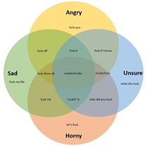 A fucking Venn diagram