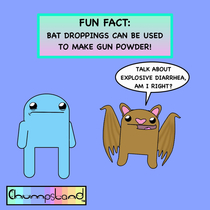 A Fun Fact About Bats 