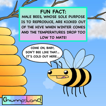 A Fun Fact About Bees 