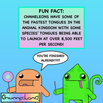 A Fun Fact About Chameleons 