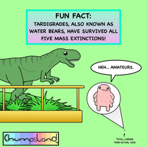A Fun Fact About Tardigrades 