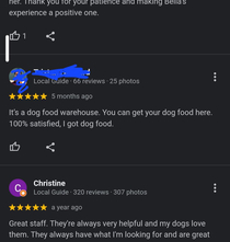 A glowing review of the local pet store
