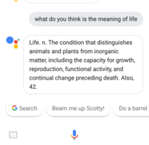 A good definition of life by Google