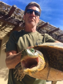 A happy turtle my father caught
