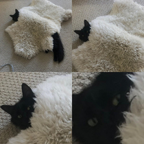 A hidden cat void