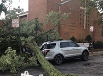 A huge tree fell on this car that was parked illegally in front of a church