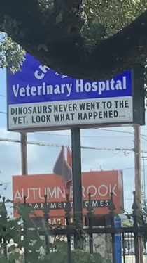 A local vet a friend on IG posted in story