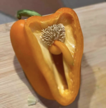 A male pepper