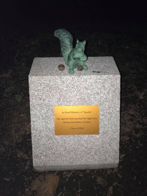 A memorial for the squirrel that ate through a wire that canceled classes for two days It was paid for by the undergrad class from FB
