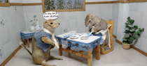 A museum in the countryside near me has roadkill in funny dioramas
