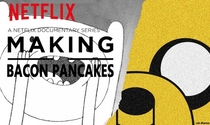 A Netflix Documentary Series