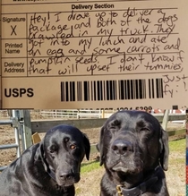 A note left by a delivery man whose lunch was stolen and eaten by a couple of puppers