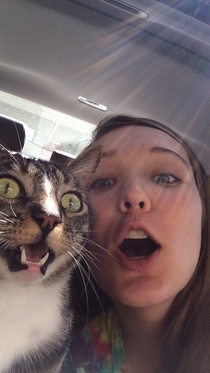 A Perfectly Timed Selfie