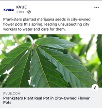 A prank I can get behind