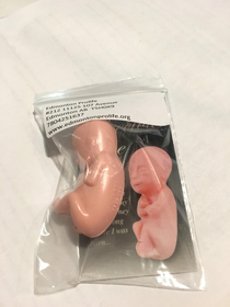 A pro-life table at a teachers convention is giving away fetus erasers This is the true height of irony