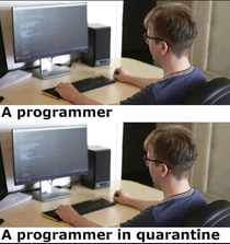A Programmmers lifecycle during quarantine and before it