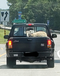 A Ram in a Ford