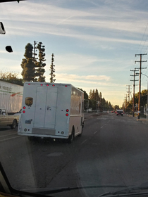 A rare albino UPS truck out in the wild