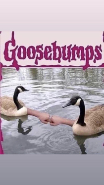 A real Goosebumps book