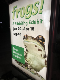 A Ribbiting Exhibit