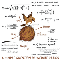 A simple question of weight ratios