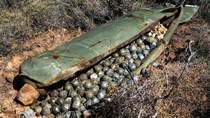 a sleeping cluster bomb and its bomblet babys in the wild