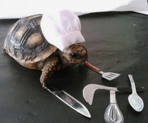 A slow cooker