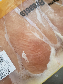A small perosn froze in the chicken breast