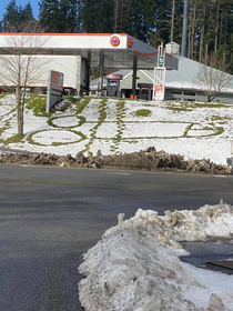 A snowday at a local gas station